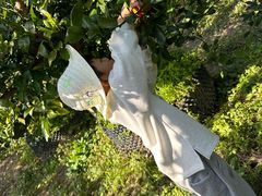 -前小桔亲子创意农场·草莓采摘·露营烧烤