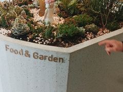 -春树下·树屋花房西餐厅(罍街AS1980店)