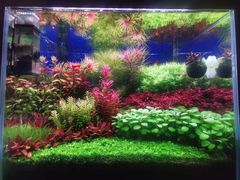 -华声天桥民俗文化园