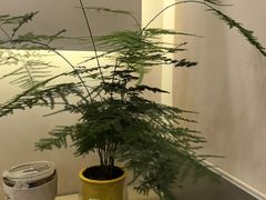 -海马体照相馆(上海宝山万达广场店)