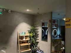 -施奈儿.洗头頭療.按摩SPA.采耳(上梅林店)