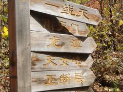 -天女山森林公园