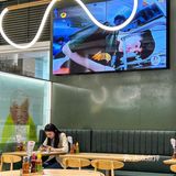 带你领略深圳福田的越南美食！