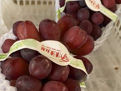 -马陆小张葡萄园农家乐