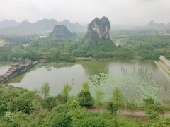 -南宁花花大世界景区