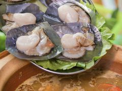 -新世纪酒店·早茶餐厅