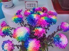 -陶然亭公园