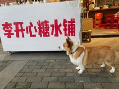 -李开心火锅馆(回兴店)