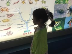 -上海昆虫博物馆