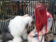 -TrueLove @ Neverland (Husky Cafe)