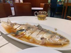 酒蒸鲥鱼-蝶园·装修中(BFC外滩金融中心店)