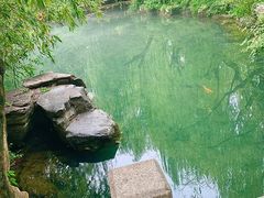 -张家油条