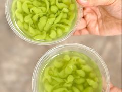 -椰子湾·海南火锅·糟粕醋·椰子鸡(正大广场店)