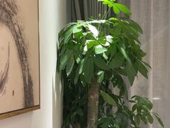 -丹江渔村(望京店)