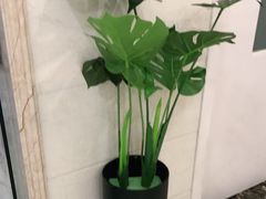 -派特宠物医院(圆融广场店)