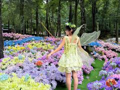 -洛阳白云山景区