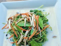 -少林寺欢喜地素斋馆