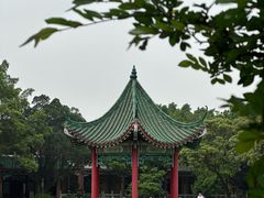 -广东圆玄道观