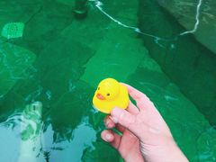 -碧桂园润杨溪谷温泉酒店