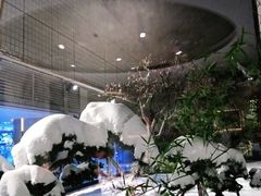 -九献创意菜·新中式(亮马河花园私宴店)