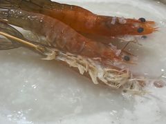 -丰尔粥食·粥底火锅·桑拿鸡(大良总店)