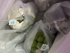 -马陆小张葡萄园农家乐