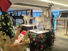 -香港皇家太平洋酒店