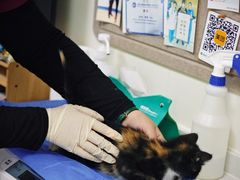 -美联众合动物医院·24h京西诊疗中心