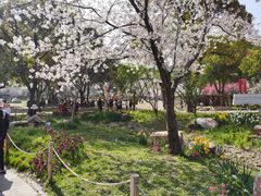 -苏州上方山国家森林公园