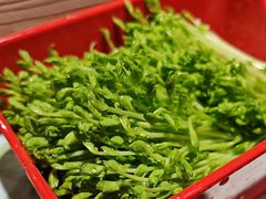 -番食园鲜食火锅(高新店)