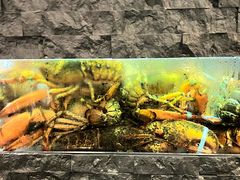 -鱼乐轩海鲜专门店