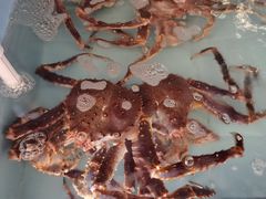 -尚海豆捞(乐虹坊店)