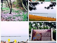 八大关景区-八大关景区