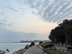 -深圳湾公园(南山区)