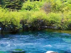 -九寨沟-树正沟