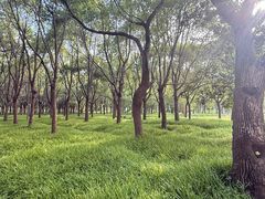 -嘉北郊野公园