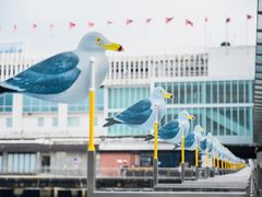 -海港城