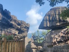 -梭布垭石林景区