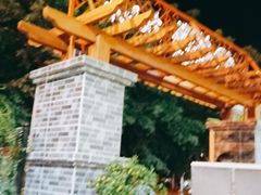 -墨脱石锅椰子鸡•香草鸭•东山羊(大东海店)