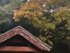-普陀山风景名胜区-法雨禅寺