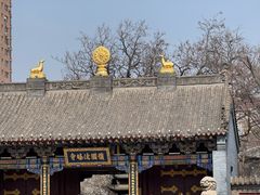 -护国法轮寺