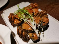 -青叶202都市餐厅(迪诺水镇店)