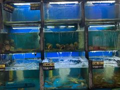 -老东镇啤酒屋海鲜加工·蒸汽海鲜·海鲜烧烤(台东店)