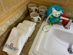 -平湖九龙山庄园圣马可酒店