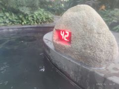 -龙山酒店温泉