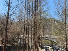 -白水寺森林公园