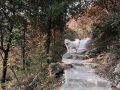 -宠福鑫康馨动物医院·骨科·眼科