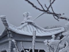 -金子山原生态旅游风景区