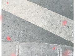 -上海紫彤友联生煎(金沙井店)