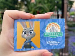 -上海迪士尼度假区